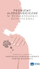 Libër Allergological Problems in Aesthetic Dermatology, dermatologji estetike, alergologji, anglisht