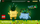 Lodër ndërtimi LEGO Botanicals Happy Plants 10349, 217 pjesë, dekor rafti, shumëngjyrëshe