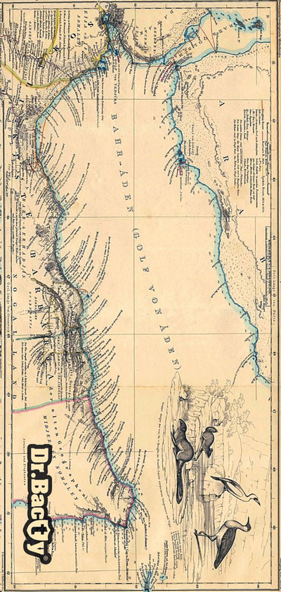Peshqir Dr.Bacty Map, L, 60 x 130 cm 