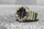 Orë dore Casio The G/G-SHOCK GA 700UC-5A