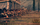 Lojë kompjuteri Total War: Rome II SEGA