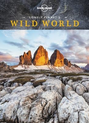 Wild World - Nn