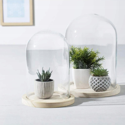 Декоративна купа Atmosphera Glass and Wood Bell Jar, 26cm, транспарентна