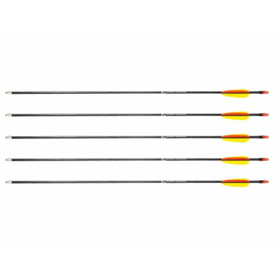 Set shigjeta Poe Lang Fiberglass Arrow 28", 5 copë, për hark, të zeza