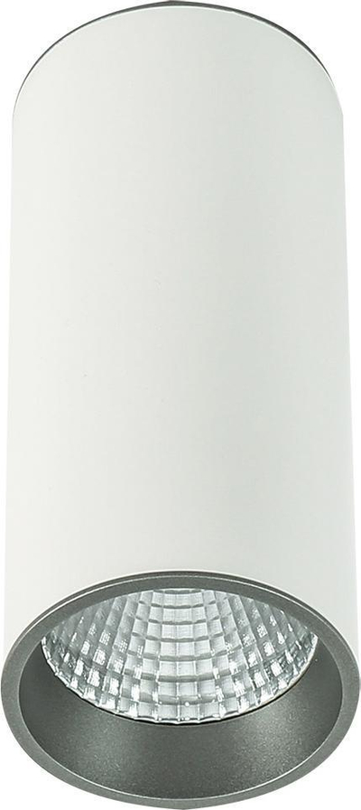 Llambë tavanore LED Netlighting 7392, 12W, 3000K, e bardhë gri