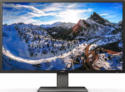 Monitor Philips P-line 439P1/00, 42.5", UHD 4K, i zi