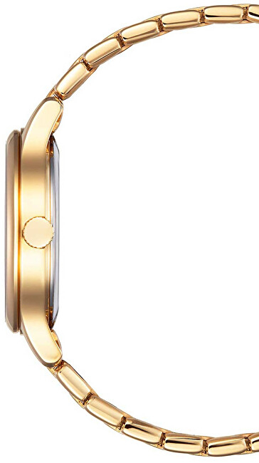 Orë dore Citizen Elegance Eco-Drive EM0893-87Y