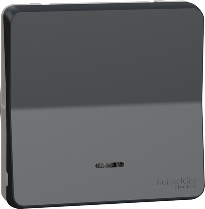 Buton me ndriçim Schneider Electric Mureva Styl MUR35127, LED, IP55, antracit