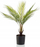 Bimë artificiale Emerald Chamaedorea Palm, 50 cm, me vazo, jeshile