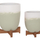 Set vazo dekorative HomeMarkt SEON HM4686.09, terrakotë, bazë dru teak, e bardhë me jeshile