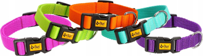Qafore për qen Dingo DINGO Collar, 2.5 x 55cm, me rregullim 31-49cm, rozë