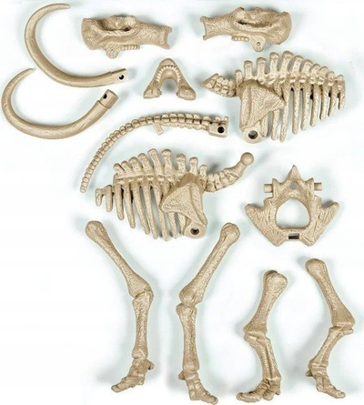 Set edukativ Clementoni Scientific Fun Fossils Mammoth 50859, skelet fosforeshent, për gërmime arkeologjike