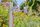 Set zorrë uji Gardena Basic, 20 m, 1/2", portokalli