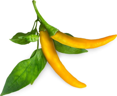 Билни капсули Click & Grow Yellow Chili, сет 3 парчиња, за Smart Garden, жолти