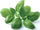 Pod për bimë Click and Grow borzilok, refill 3 copë, për kopshtin inteligjent