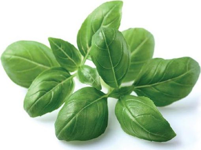 Pod për bimë Click and Grow borzilok, refill 3 copë, për kopshtin inteligjent