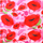 Shall Desigual Fou Lacroix, i kuq