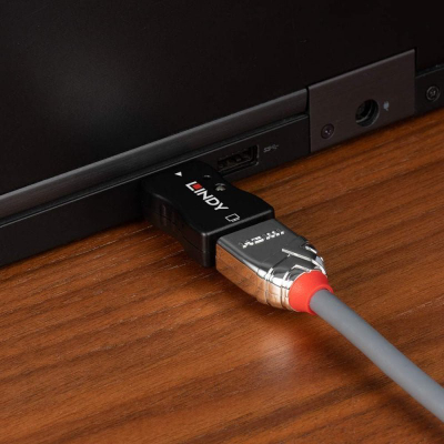 Emulator HDMI Lindy 2.1 EDID, 8K 60Hz, 48Gbps, i zi