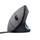 Maus TRUST Verto, 1 600 DPI