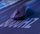 Maus gaming wireless Delux M900, 2.4G, 12000 DPI, i zi