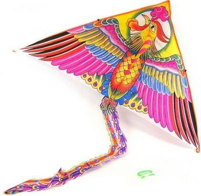 Fluturake Adar Bird, si zog me bisht të gjatë, shumengjyrëshe