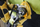 Trapan DeWalt DWD024)