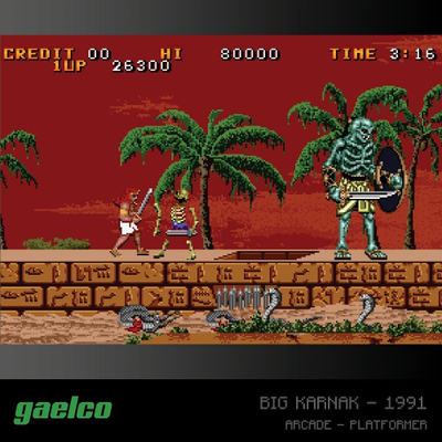 Kartrixh loje Evercade Gaelco Arcade Cartridge 2, koleksion 6 lojëra, për konzolat Evercade, multikolor