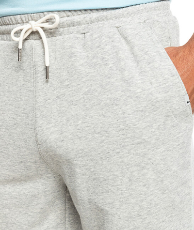 Shortse Quicksilver Essentials Regular Fit, tё hirta
