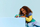 Lodër LEGO Disney, Mini Princeshat Jasmine dhe Rapunzel, set figurash