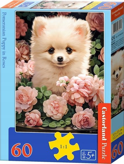 Puzzle Castorland Six Pomeranians in a Row, 60 copa, për kalamaj