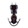 Doreza akulli Black Diamond Contact Strap, çelik inoks, 10 pika, portokalli me të zezë