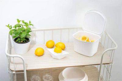 Kosh mbeturinash organike Koziol Bibio, 3L, plastikë, i bardhë