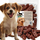 Shpërblim për qen Mr. Pretzel Beef Sausages, mish viçi, 500g
