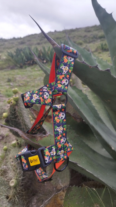 Shtrëngues për qen Dingo Guard City Chiapas S, i rregullueshëm, polipropilen, shumëngjyrësh