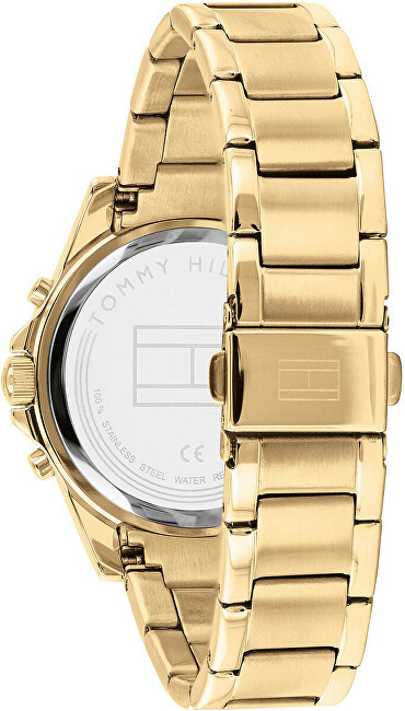 Orë dore Tommy Hilfiger Haven 1782383