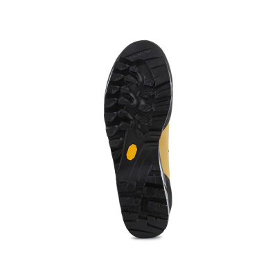 Планинарски обувки La Sportiva Trango Tech Leather GTX M 21S732206, Gore Tex, ѓон Vibram, зелена
