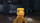 Lojë digjitale Xbox One Bandai Namco Digimon Survive Month 1 Edition, aventurë taktike