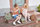 E-book Conveyancing Process and Timeline Explained, udhëzues ligjor, në anglisht