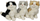 Lodër pelushi mace Dubi Cats, 30cm, ngjyra përzier