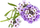 Билна капсула Click & Grow Sweet Alyssum, 3 парчиња, декоративна, виолетово и бело