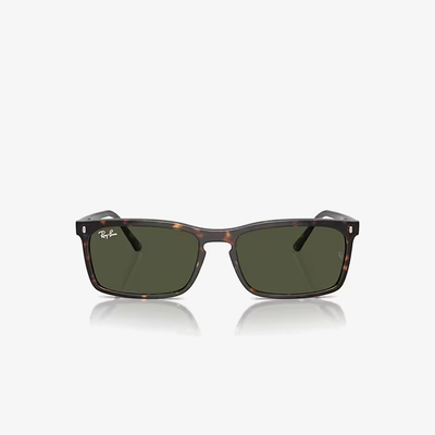 Ray-Ban RB4435 902/31 59