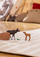 Figurë lodër Schleich Moose with Calf, set 2 pjesë, kafe