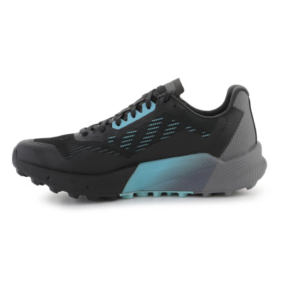 Atlete për meshkuj Shoes Adidas Terrex Agravic Flow 2 GTX