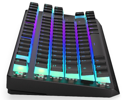 Tastierë Endorfy Thock TKL Pudding EY5A119 - USB, e zezë