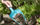 Lopatëz kopshti Gardena Large (08953-20), 12cm