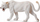 Figurinë Collecta White Lioness, luaneshë e bardhë, lodër koleksionuese