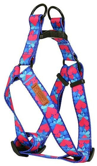 Parzmore për qen IVO, me rrypa që rregullohen, 20mm, 40-60cm, me zemra shumëngjyrëshe