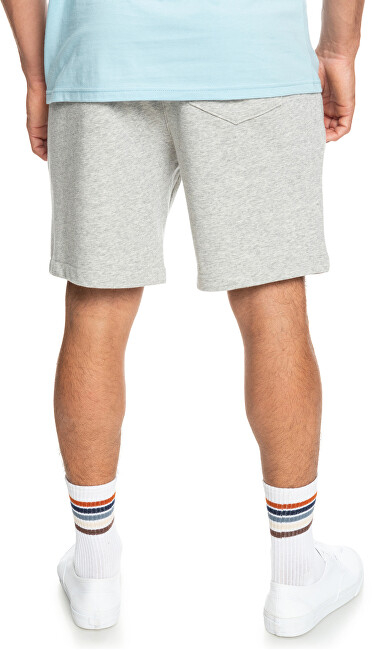 Shortse Quicksilver Essentials Regular Fit, tё hirta