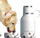Shishe uji për qen Asobu Dog Bowl Bottle, 1L, inox, e bardhë