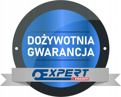 Pjuka za nituvanje Expert by Facom, со глава 90°, со заменливи млазници